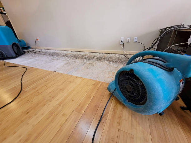 Professional Structural Drying technician working in Fulton, MO